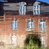 Bolognino