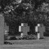 santarelli (364 sur 484)